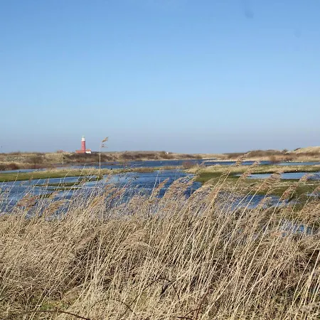 Holiday home Comfortable In Texel With Sauna *